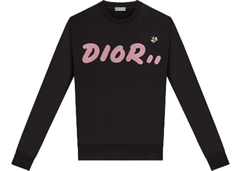 kaws dior crewneck|kaws dior stockx.